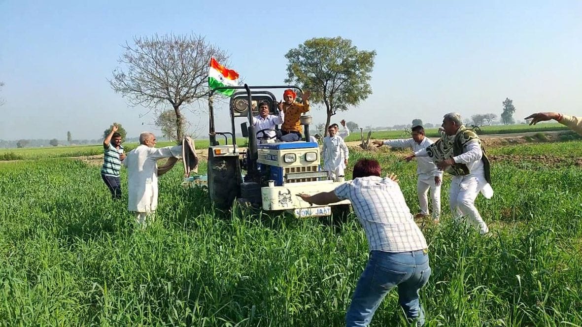 Farmer Leela plowed wheat crop in one acre in Karsindhu village