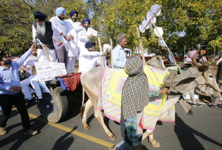 Chandigarh : Shiromani akali dal protest against petrol price in unique way