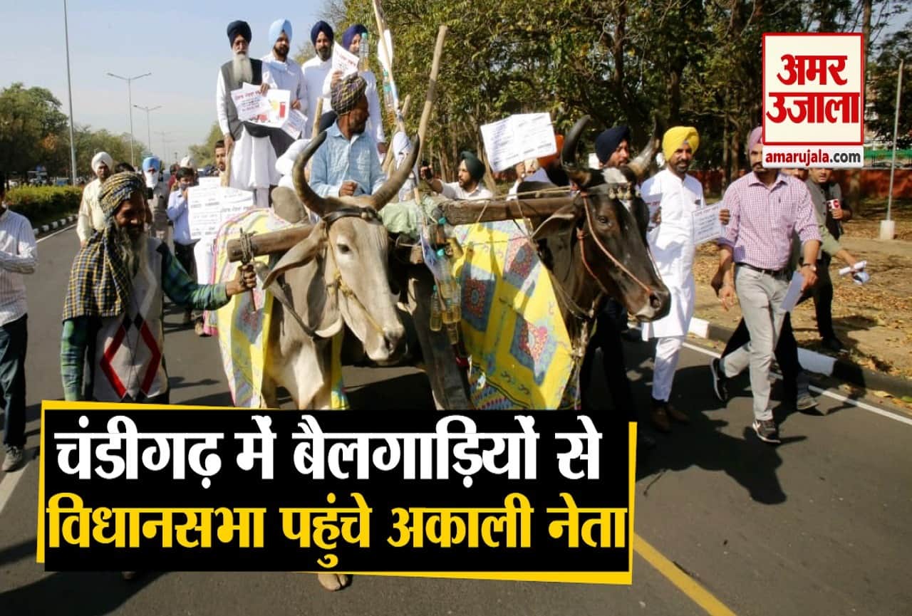 चंडीगढ़ में बैलगाड़ी से आए अकाली नेता।