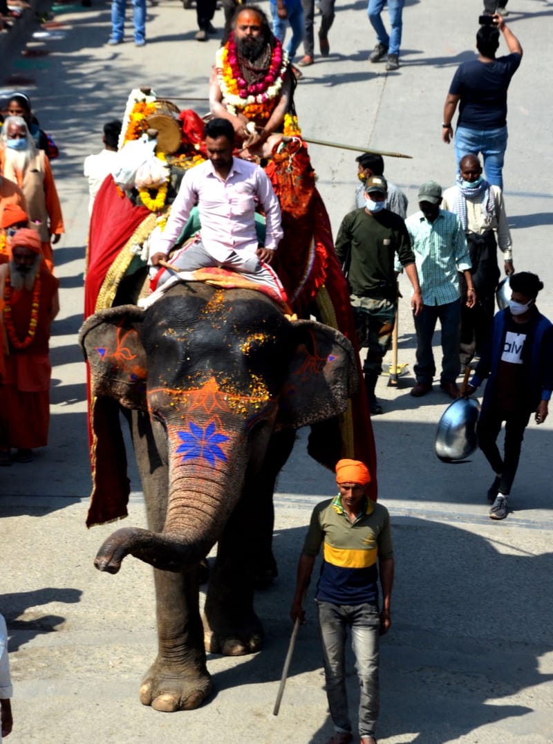 Haridwar Maha Kumbh Mela 2021: elephant Ladali become centre of attraction in Peshwai haridwar photos