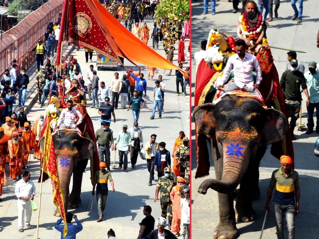 Haridwar Maha Kumbh Mela 2021: elephant Ladali become centre of attraction in Peshwai haridwar photos