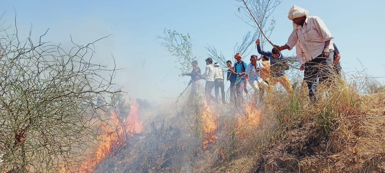 Rampura forest stirred by fire