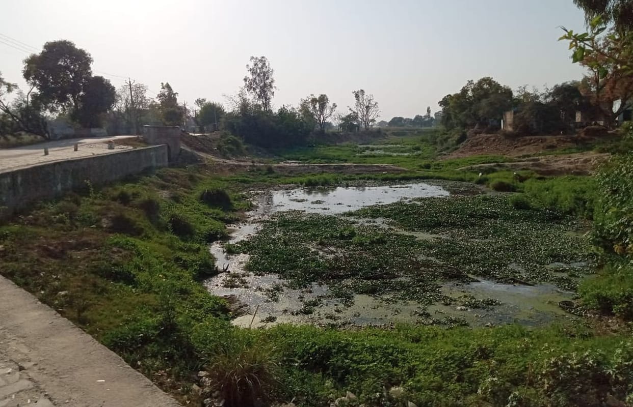 17 ponds will be decorated for tourism