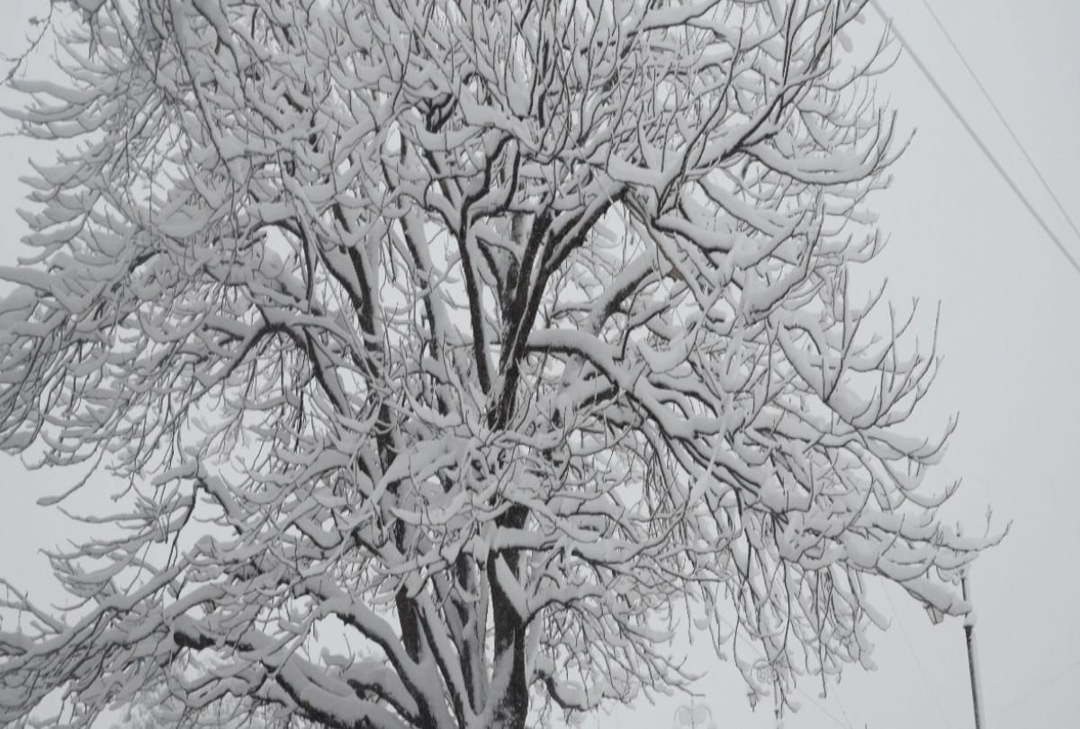 Himachal Weather Today: Orange alert of heavy rainfall and snowfall in eight districts