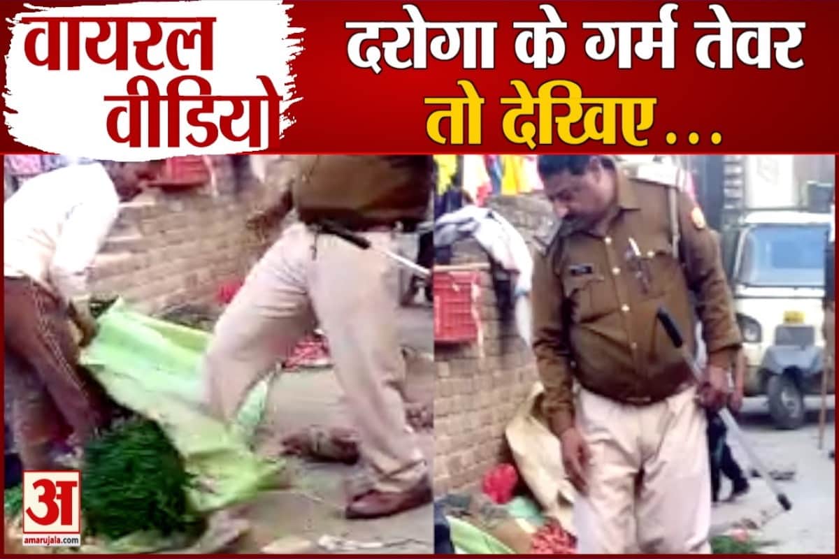 वायरल वीडियो