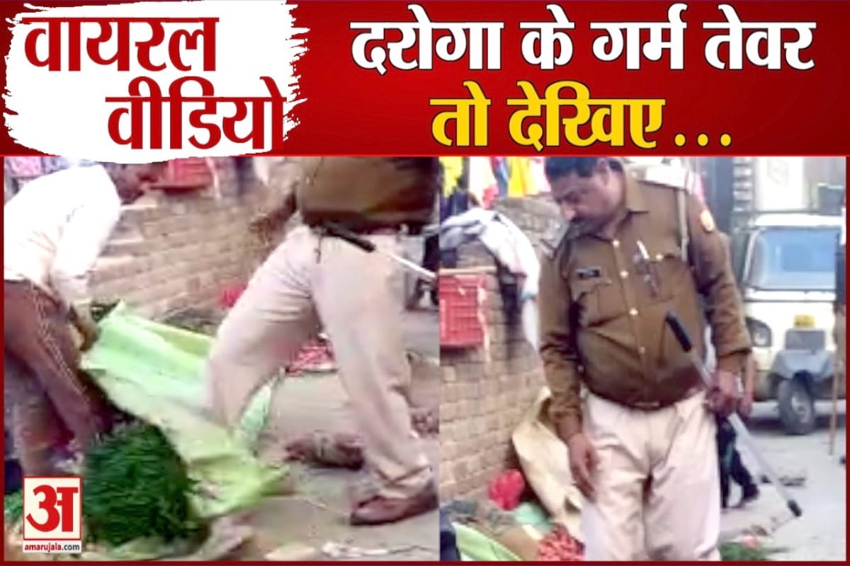 वायरल वीडियो
