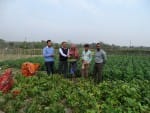 त्रिपुरा के पटालिया जीपा गांव में फ्रासबीन प्रजाति का अवलोकन करते वैज्ञानिक।