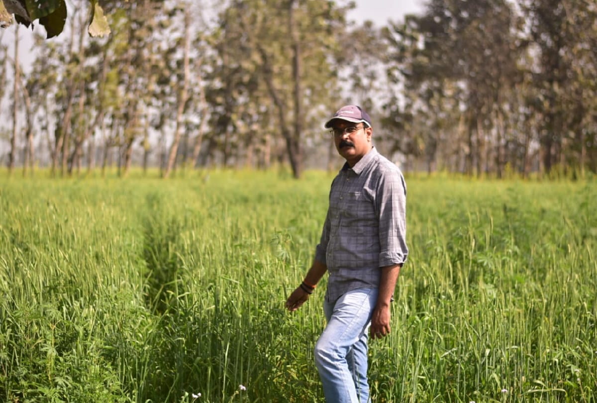 Black wheat farming started in UP Gorakhpur