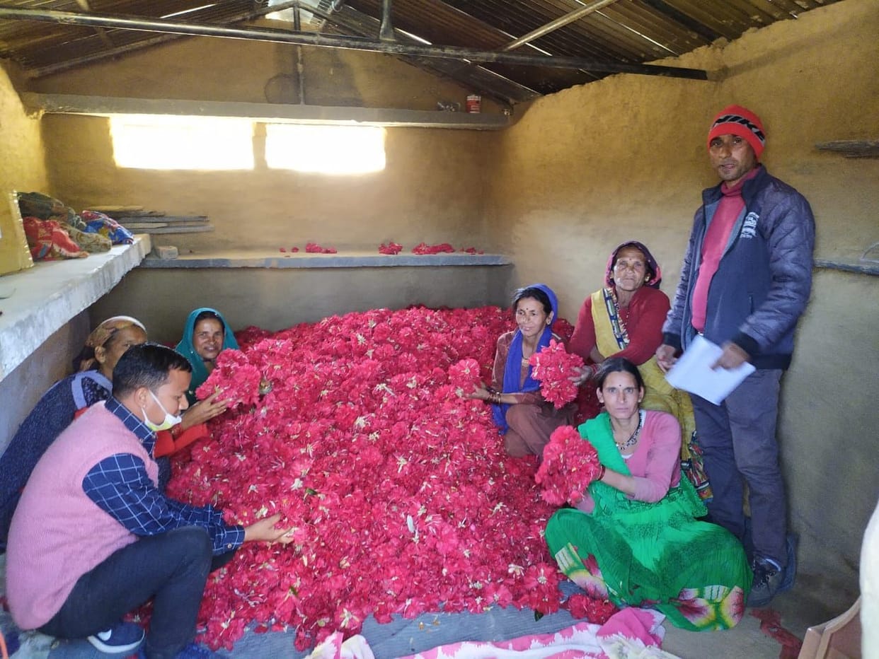 Marcketing of Buransh