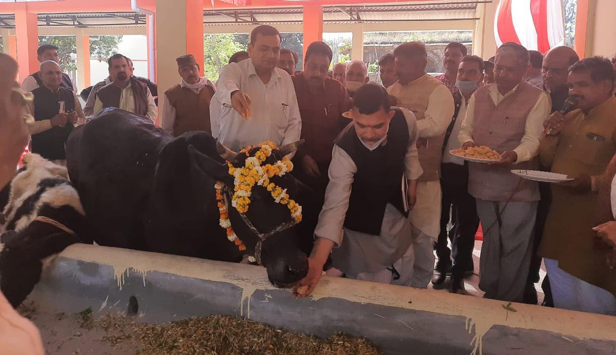 Additional Director inaugurated the massive cow protection center