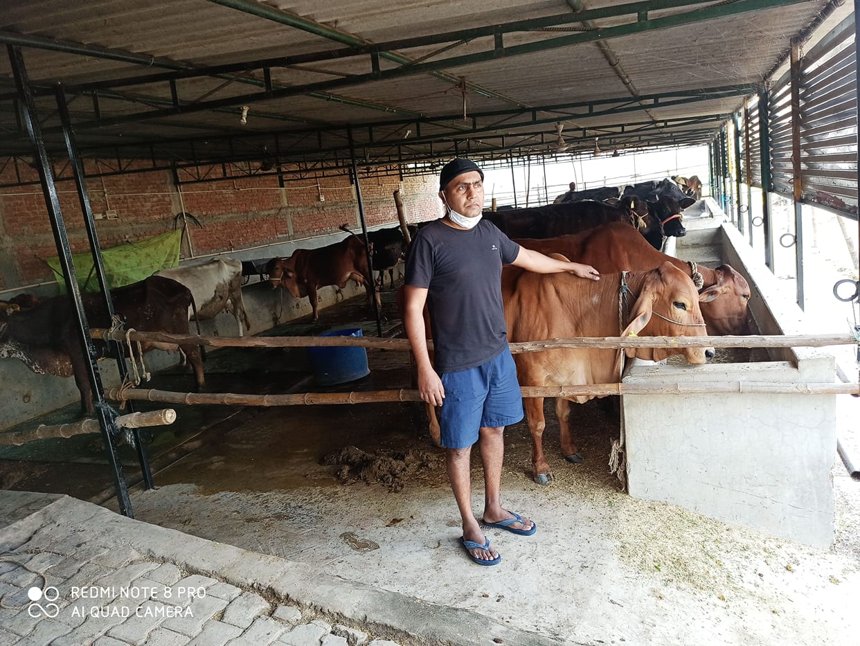 Rahul became the architect of new hope in Gopalan