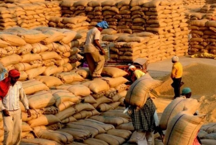 Punjab : Report reveals, Pesticides are dissolved into grains at godowns 