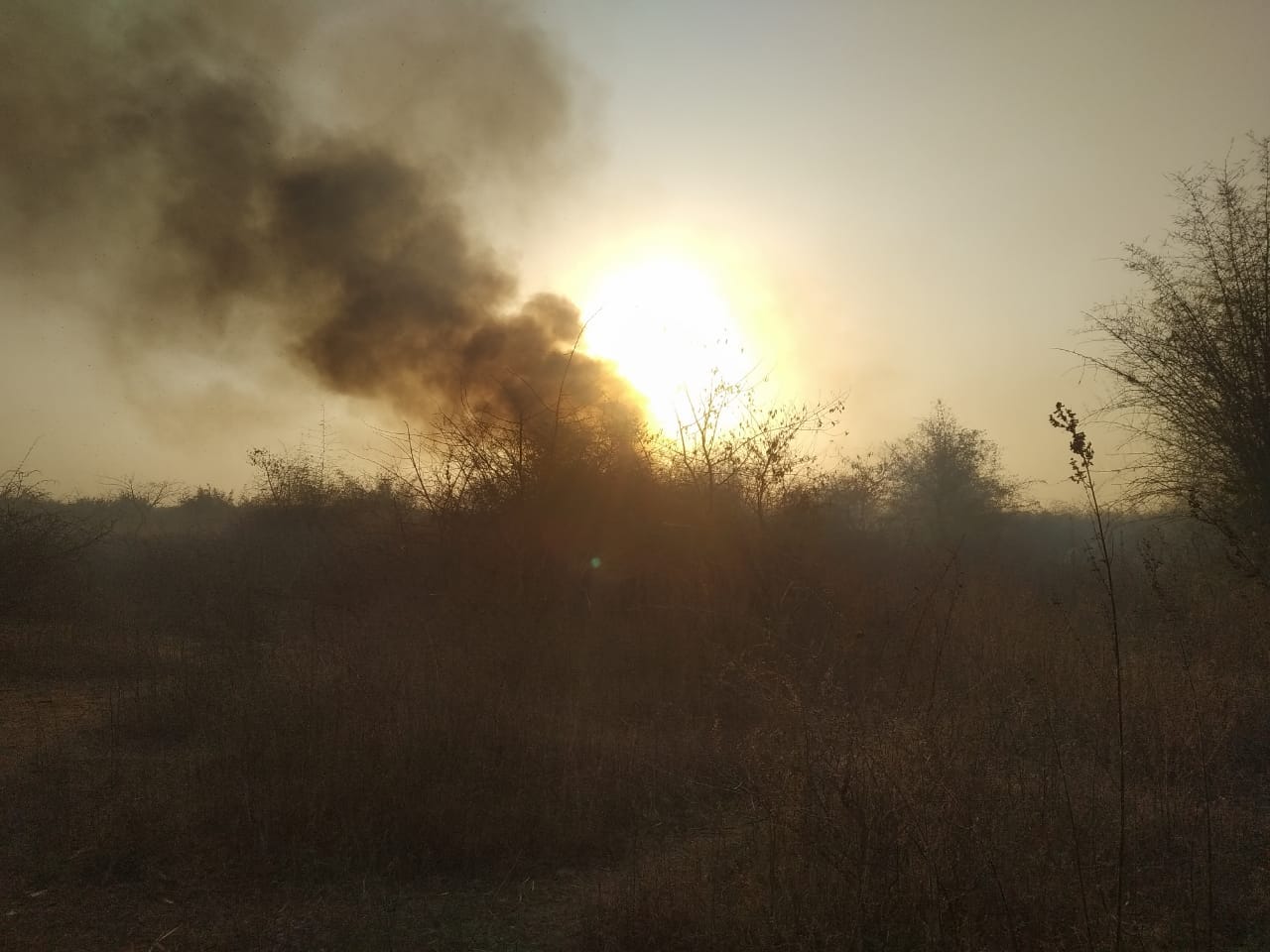 Fire in Mirzapur fire brigade called from four districts