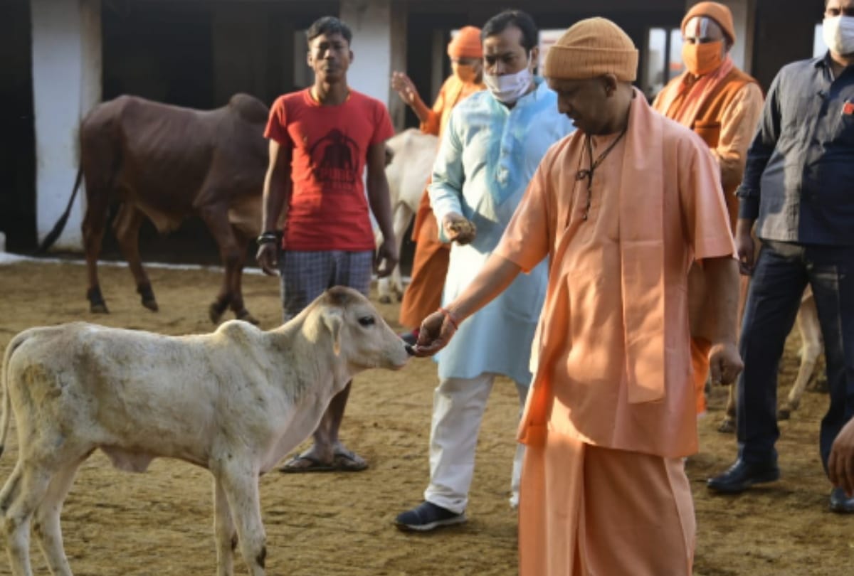 CM Yogi Adityanath Janta Darbar in Gorakhnath Temple