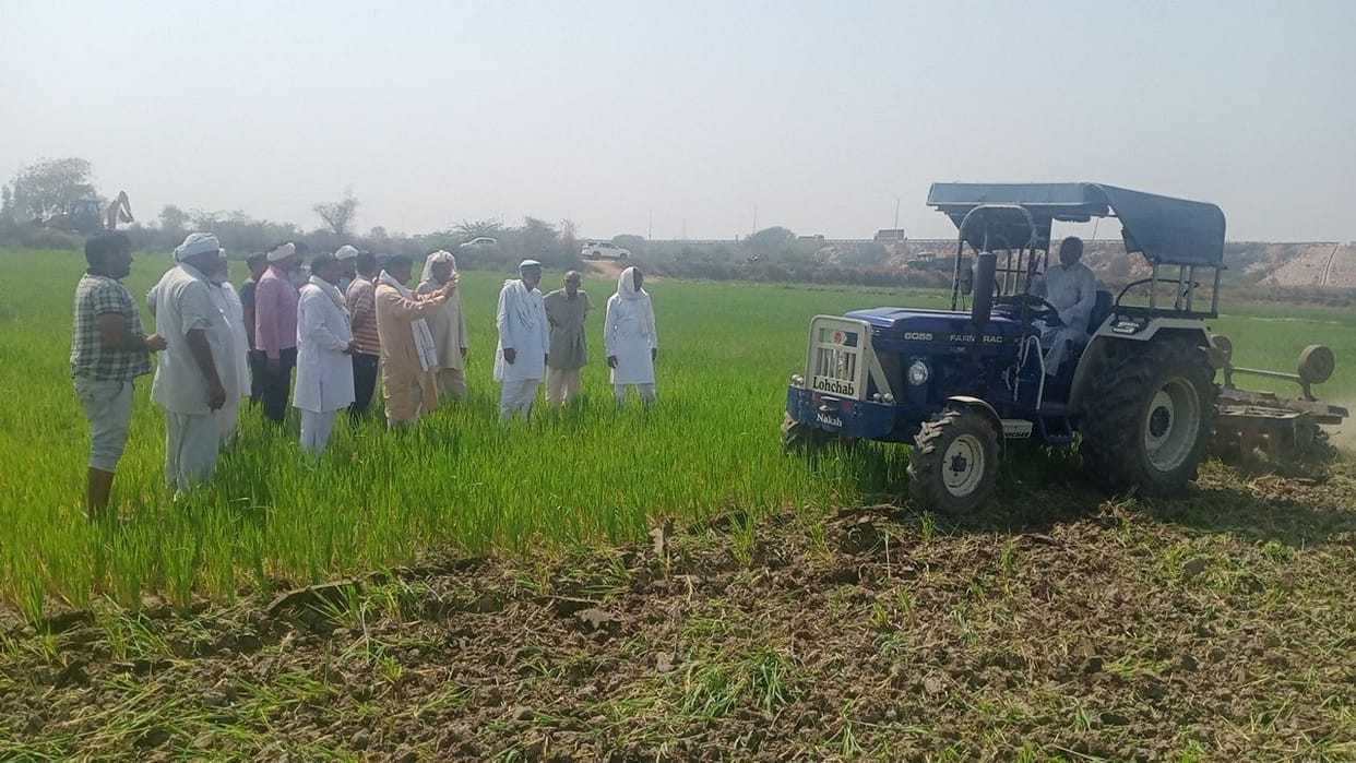 Farmers destroyed 15 acres of wheat crop by driving a tractor