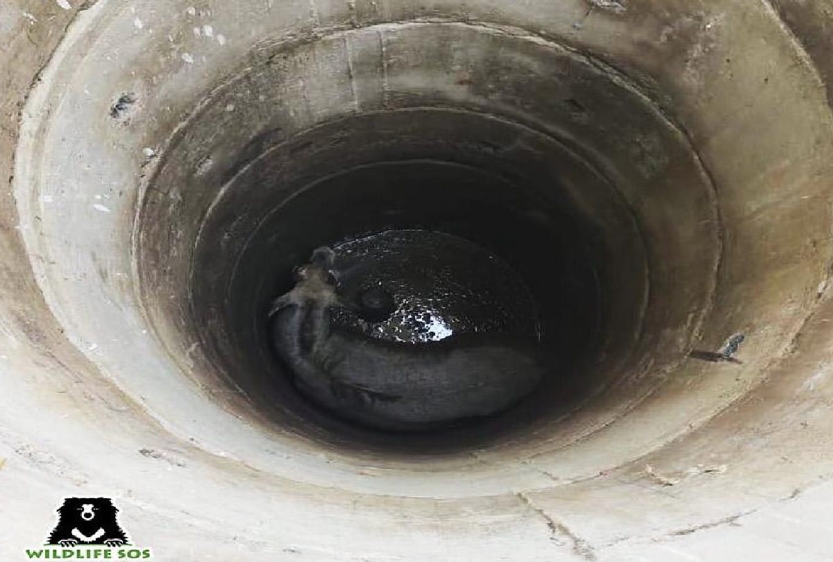 Campaign will run from 20 to check open and unsafe borewells