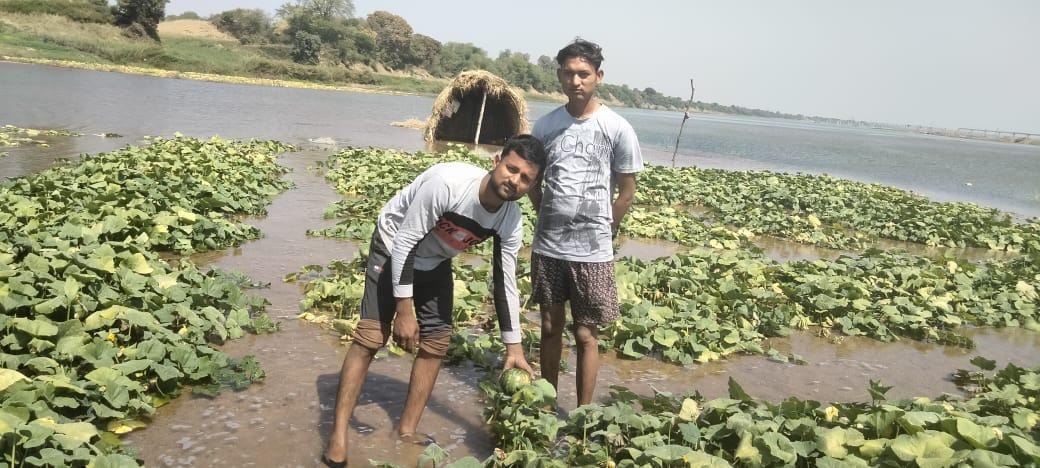 Betwa's increased water level, submerged vegetable bars