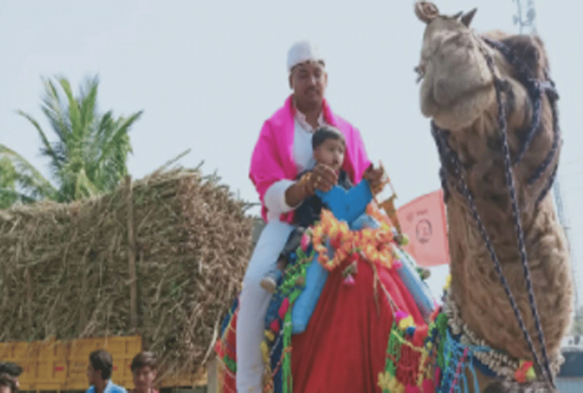maharashtra groom went to bride place on camel due to coronavirus fear