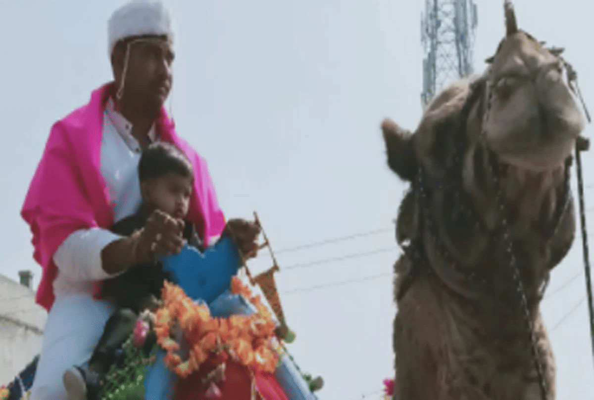 maharashtra groom went to bride place on camel due to coronavirus fear