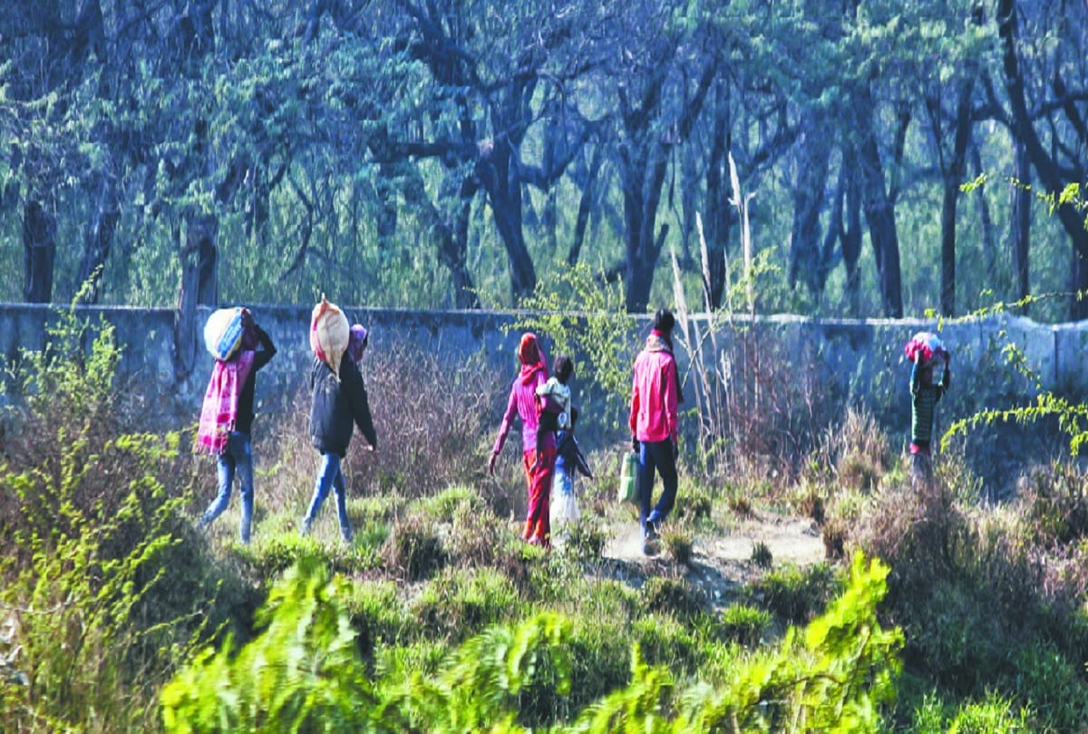 farmers protest 100 days kisan andolan changed picture of borders of Delhi see photos