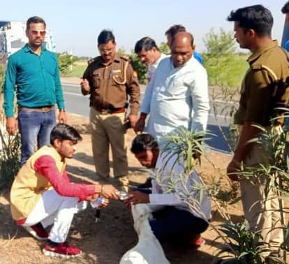 कानपुर झांसी हाईवे पर ट्रक से कुचली बकरियों को देखते पुलिसकर्मी व ग्रामीण