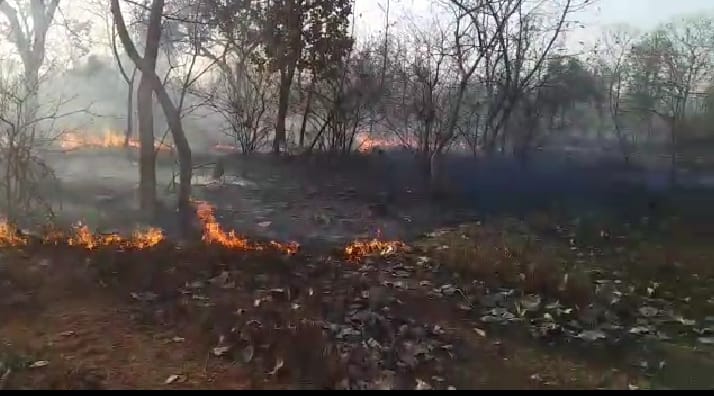 fire in sepura range, controled in two and half hours
