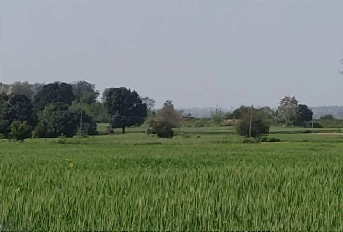 People of border areas happy after ceasefire agreement between India and Pakistan