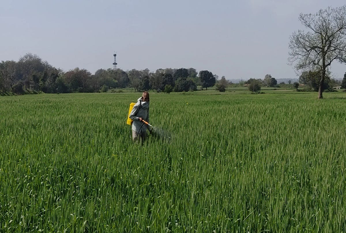 People of border areas happy after ceasefire agreement between India and Pakistan