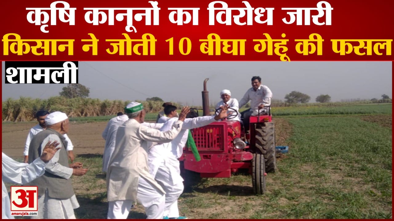 किसान ने फसल जोती।