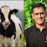 प्रतीकात्मक तस्वीर