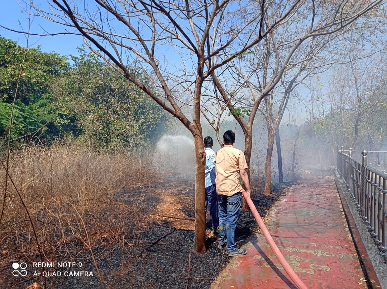 Aayurvedic research center burnning jhadiya