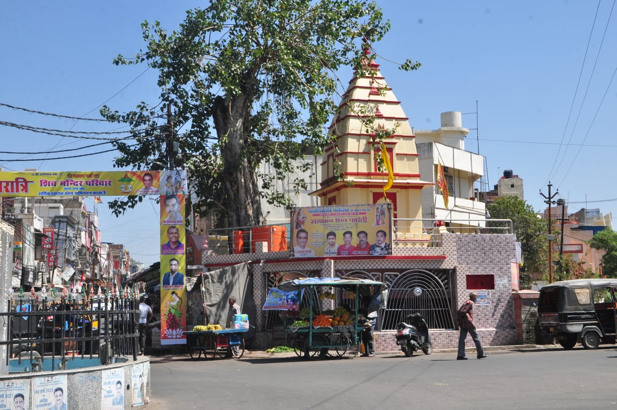Shivling birth under tree