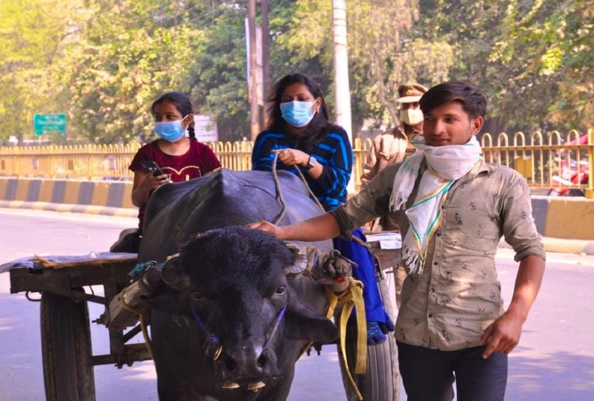 dm Selva kumari Jayarajan enjoyed riding of buffalo buggy with daughter photo viral on social media
