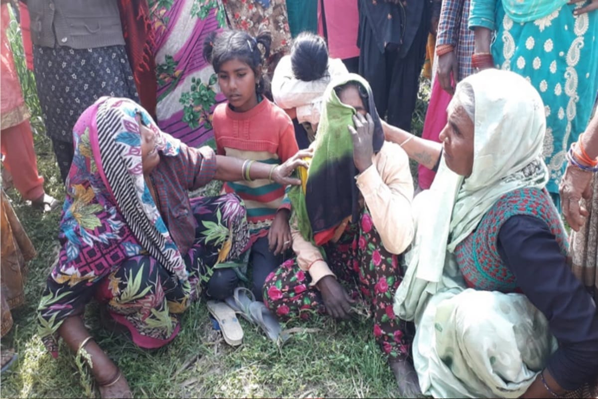 guldar killed a teenager in Bijnor rural area today while he was cutting crop