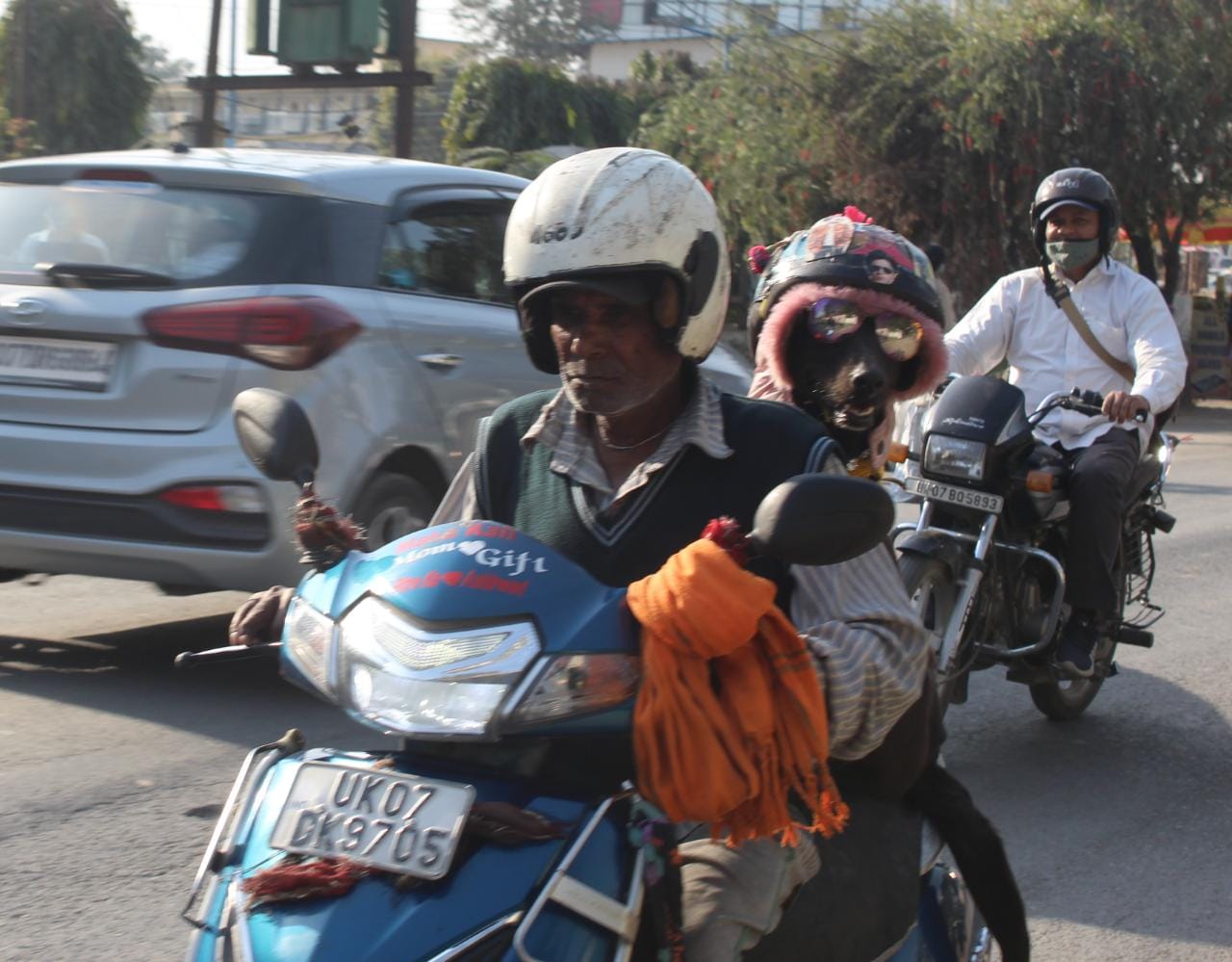 dehradun news: dog with helmet on activa in dehradun awesome photos