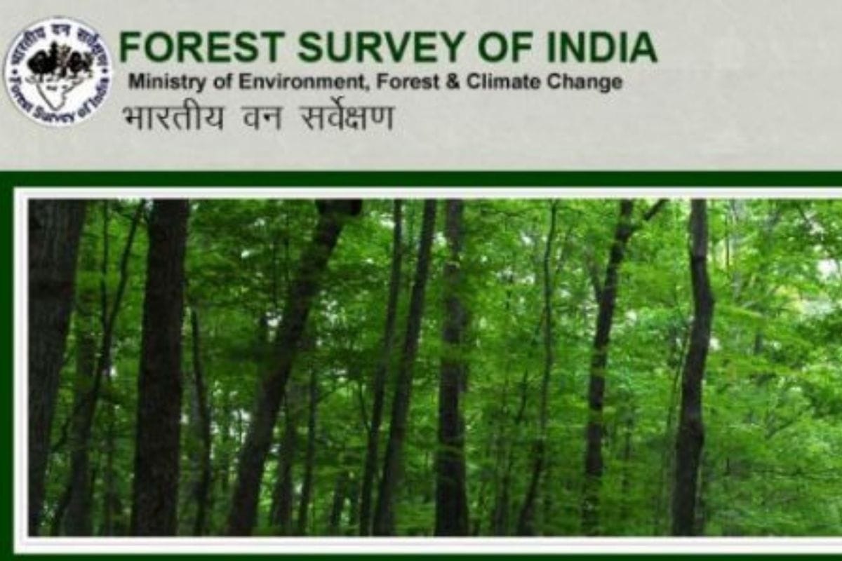 FSI Recruitment 2021: Forest Survey of India invited application for engagement of 44  posts of technical associates