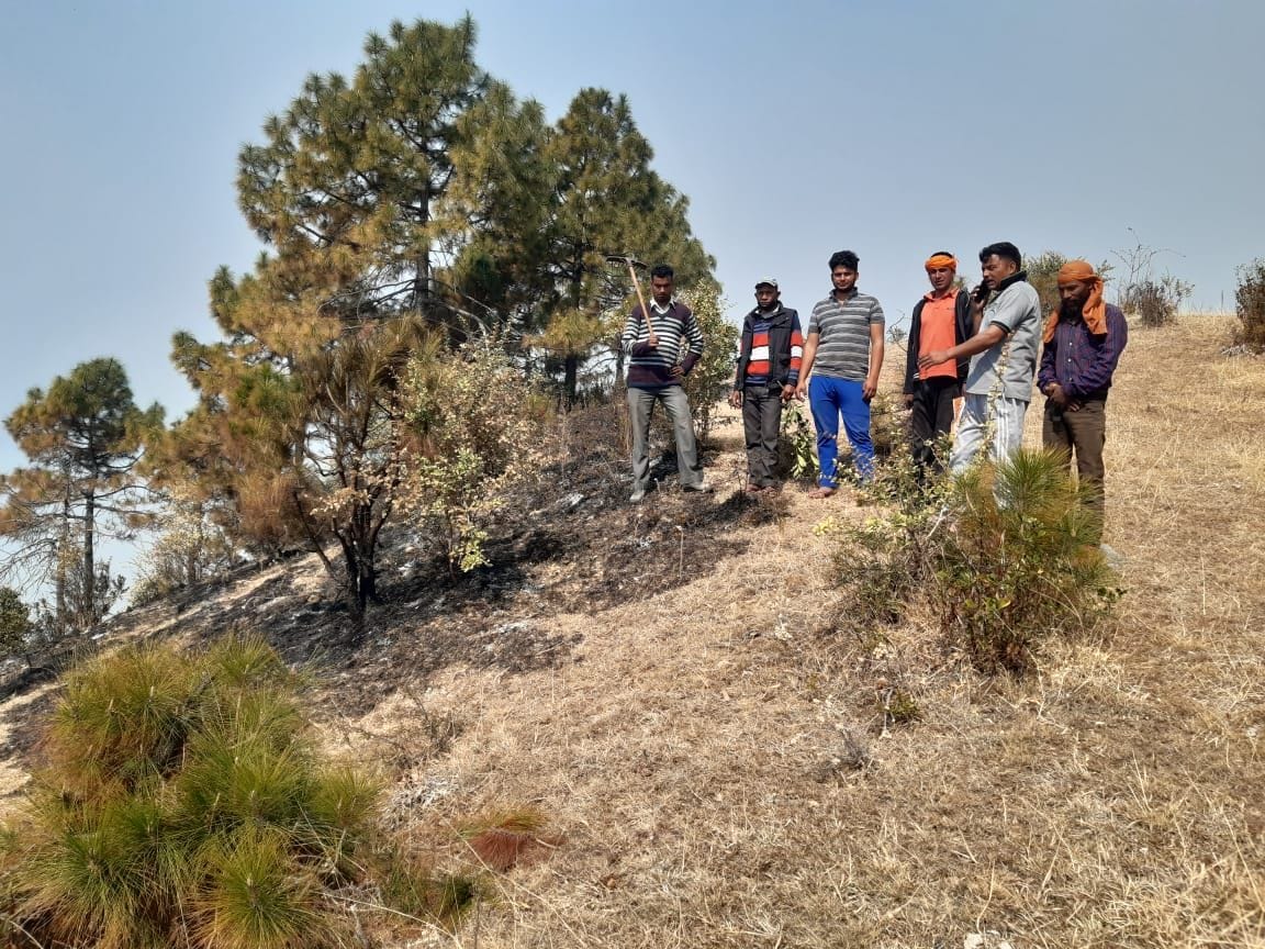 Forest Fire in Dwarahat