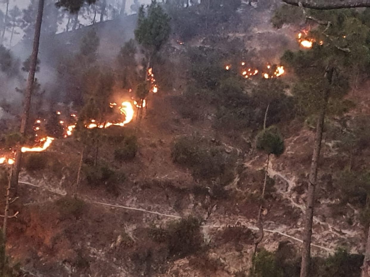 Fire in the pine forests in the Pati-Devidhura region