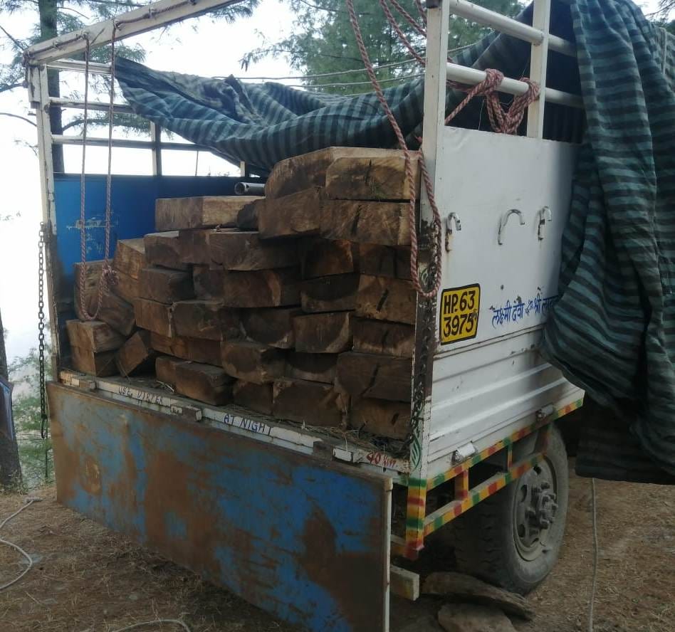 38 wood clipper recovered from pickup chopal
