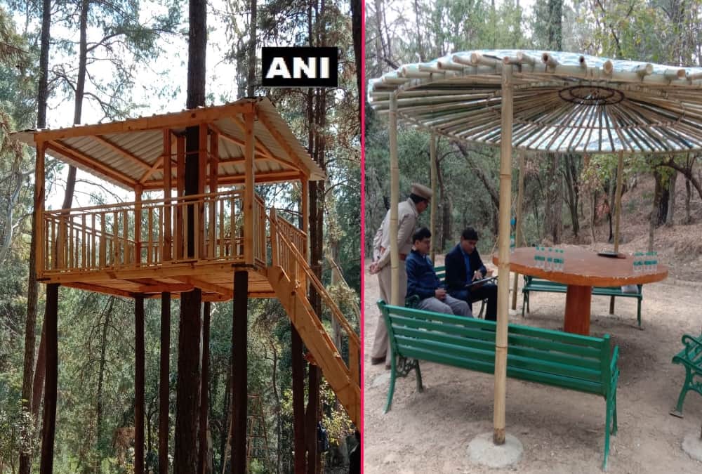 Uttarakhand News: India first forest healing centre Open in Ranikhet For Stress Relieving