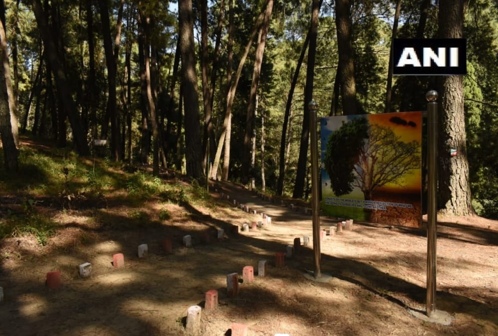 Uttarakhand News: India first forest healing centre Open in Ranikhet For Stress Relieving