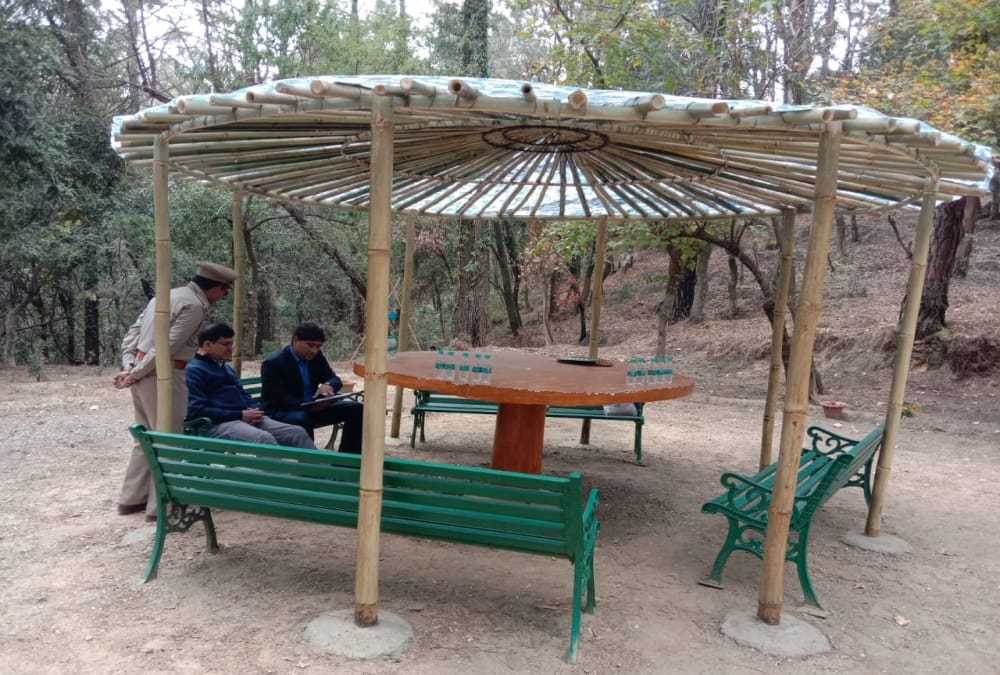 Uttarakhand News: India first forest healing centre Open in Ranikhet For Stress Relieving