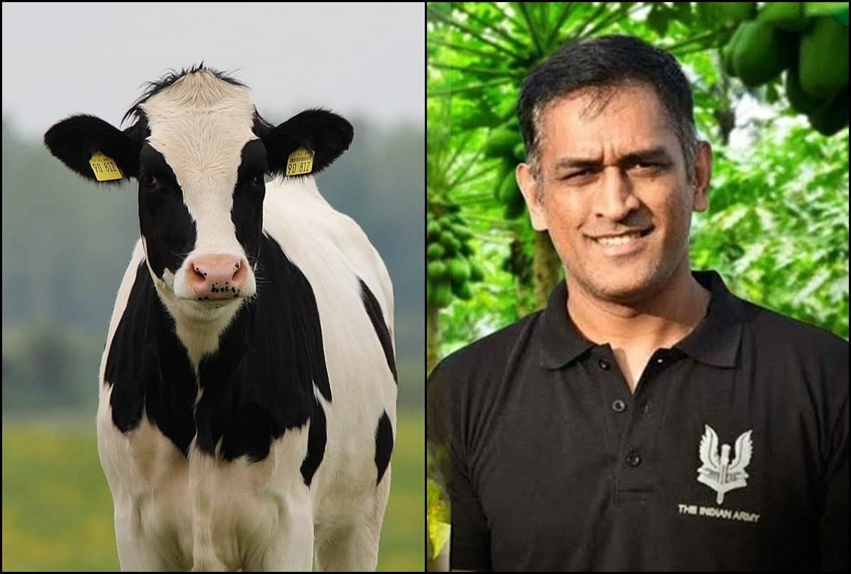 MS Dhoni awarded at kisan mela becomes best cow farmer of east India
