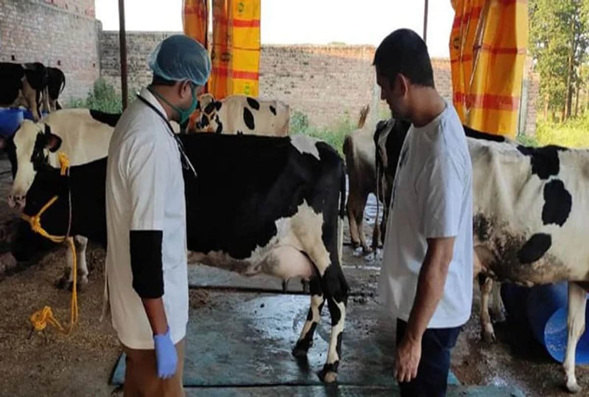 MS Dhoni awarded at kisan mela becomes best cow farmer of east India