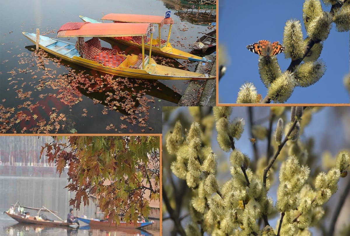 Mughal Gardens, Dal Lake, Nagin Lake, Chashme Shahi famous places of Srinagar in summer