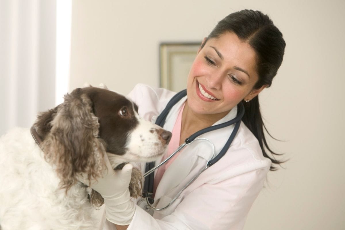 Medical Science Career options in India after 12th PCB without NEET Exam Know Details here