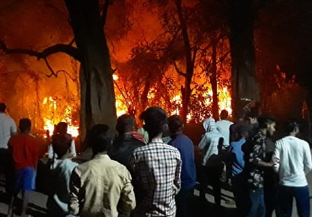 Panic spread due to severe fire in the forest of CB Ganj
