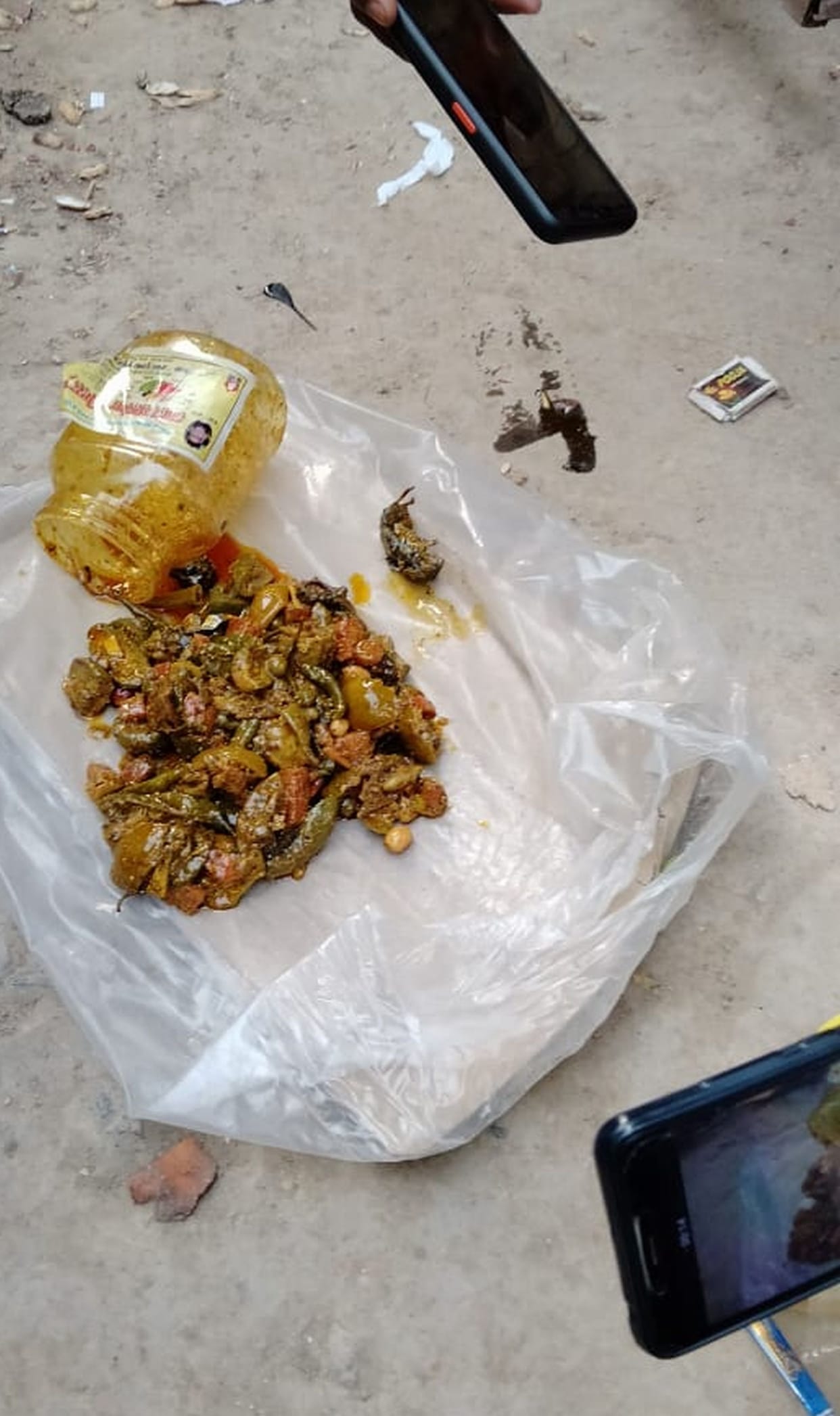 Dead rat in pickle box, two samples sent for examination