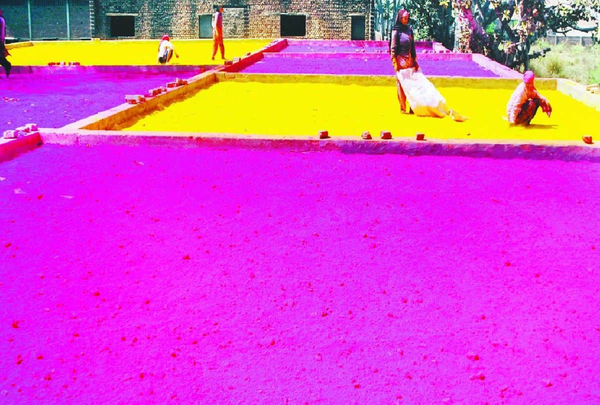 holi play according colors of horoscope