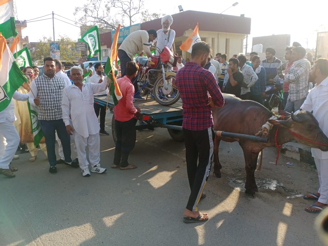Congressmen take out a procession against inflation